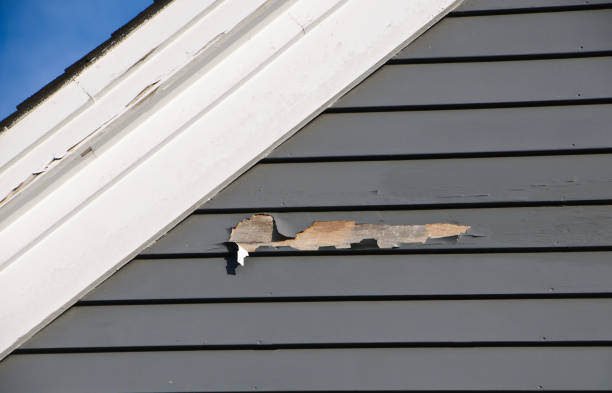 Affordable siding repair and maintenance services in Pacheco, CA